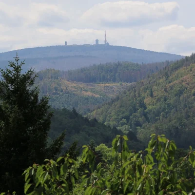 harzhaus-sonnenschein-16