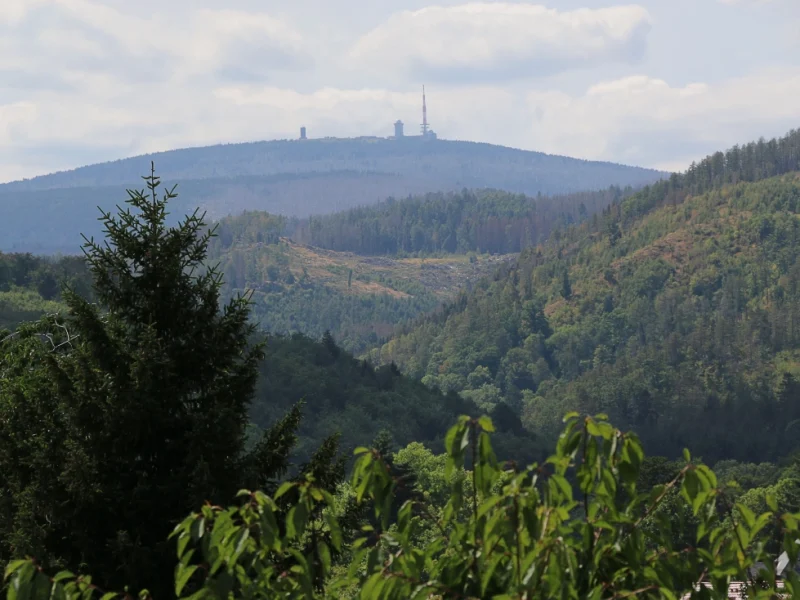 harzhaus-sonnenschein-16